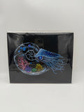 Glass Nautilus 8x10 Print
