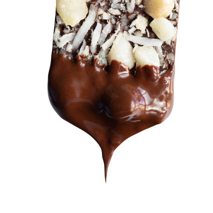 Dark Chocolate MACADAMIA COCONUT SEA SALT BITES + Plant-Based Protein