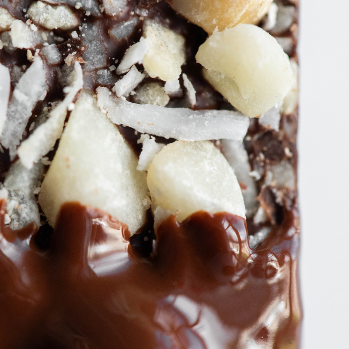 Dark Chocolate MACADAMIA COCONUT SEA SALT BITES + Plant-Based Protein