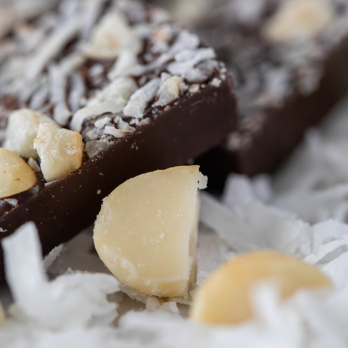 Dark Chocolate MACADAMIA COCONUT SEA SALT BITES + Plant-Based Protein