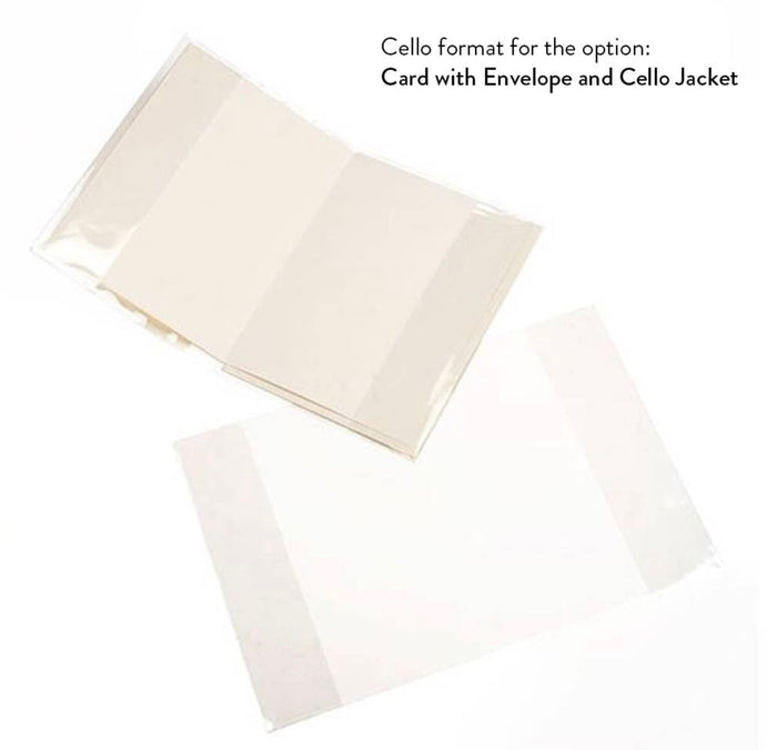 Hedgehog Delight Birthday Card: Card with Envelope and Cello Jacket - The Regal Find