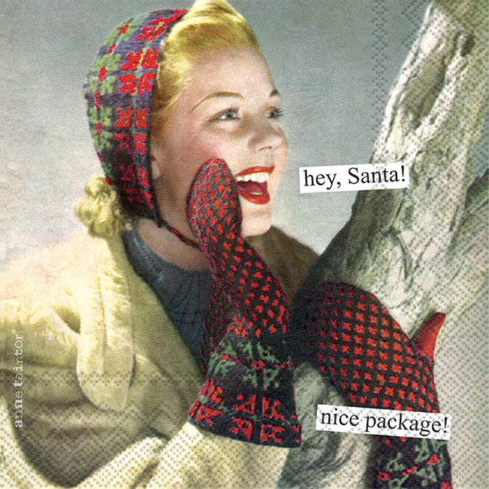 Paper Cocktail Napkins 20 ct Anne Taintor Package Christmas - The Regal Find