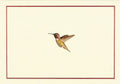 Hummingbird Flight Note Cards - The Regal Find