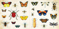 Loads of Ephemera Sticker Book (580 stickers) - The Regal Find