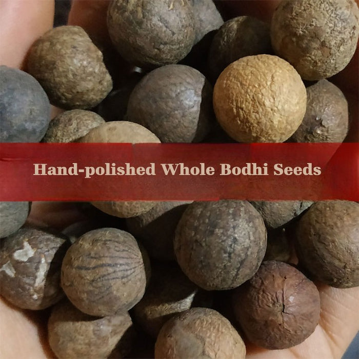 Spiritual Mala Beads Bracelet – White Bodhi Seed Meditation Jewelry