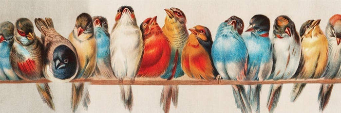 Perch - 1000 Piece Jigsaw Puzzle - The Regal Find