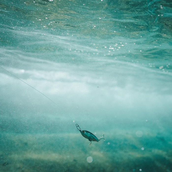 IMG_8804837_7