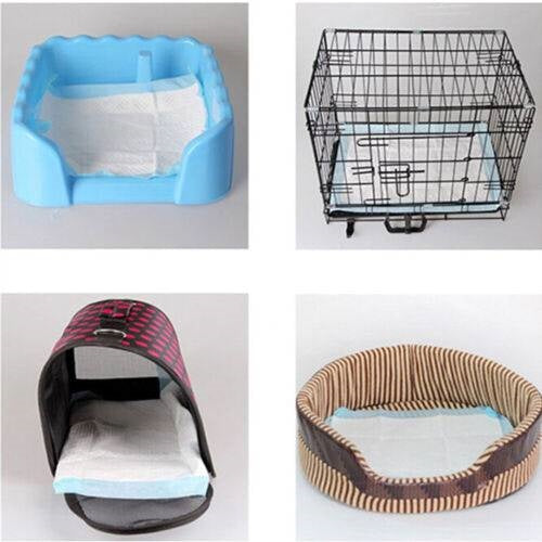 Puppy Training Pads — 100-Pack, 23.6" × 23.6", Super Absorbent