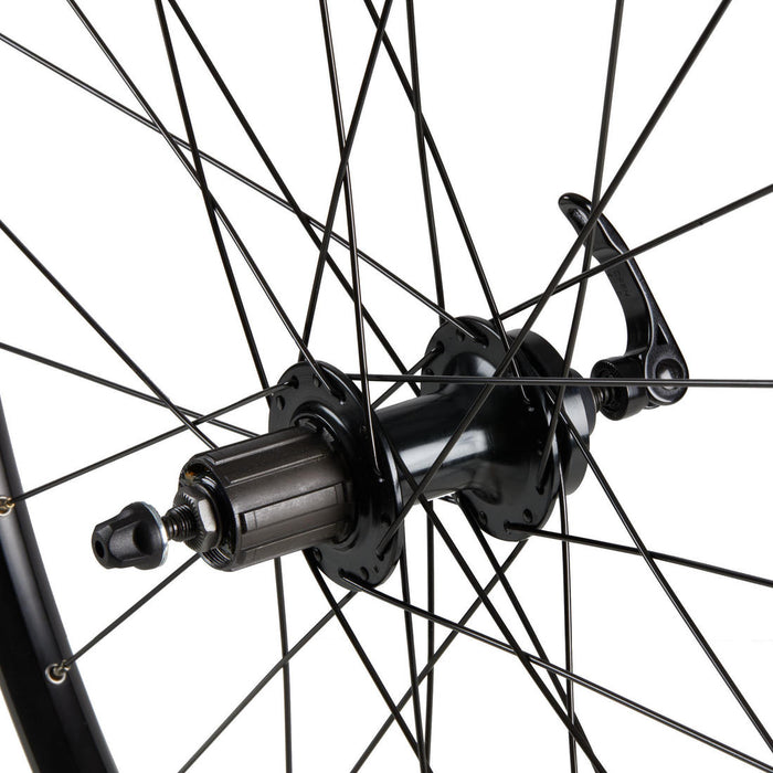 IMG_8539381_2