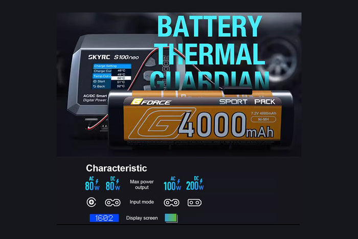 SkyRC S100 NEO Single-Channel Balance Charger