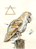 The Alchemist Print - The Regal Find