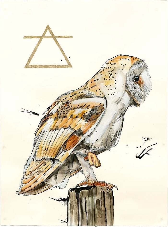 The Alchemist Print - The Regal Find