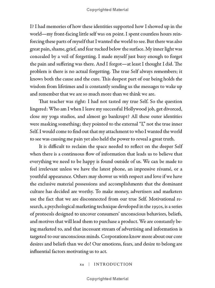 The Luminous Self Book - The Regal Find