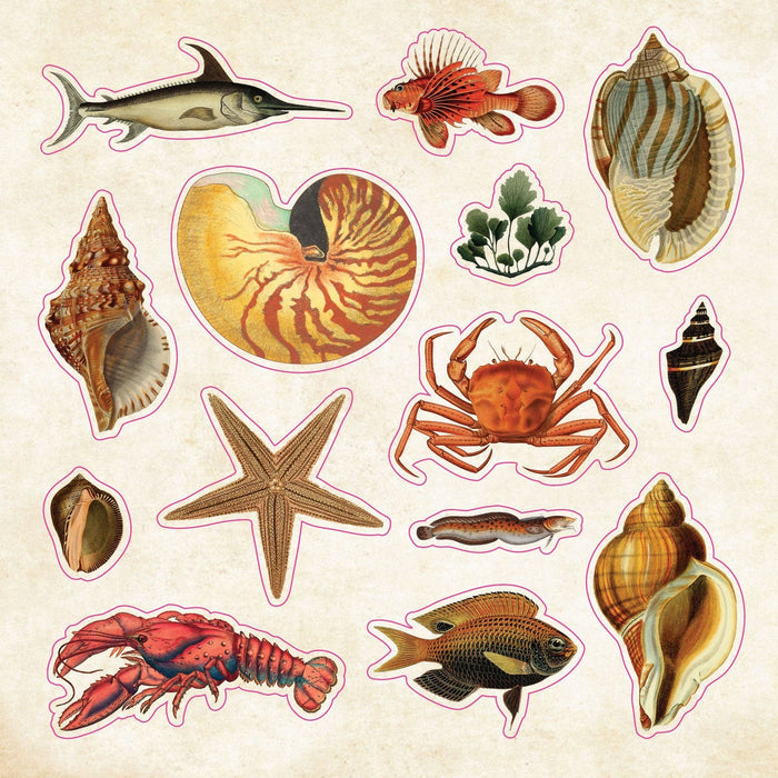The Sticker Book of Curiosities - The Regal Find